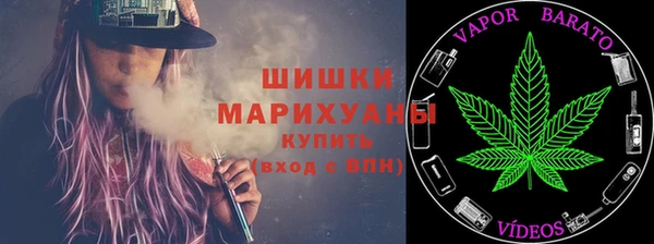 индика Арсеньев