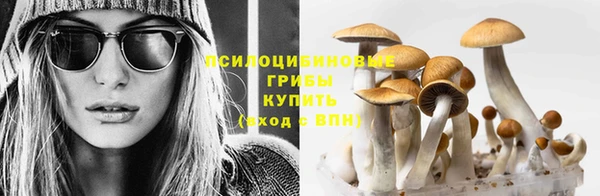 индика Арсеньев
