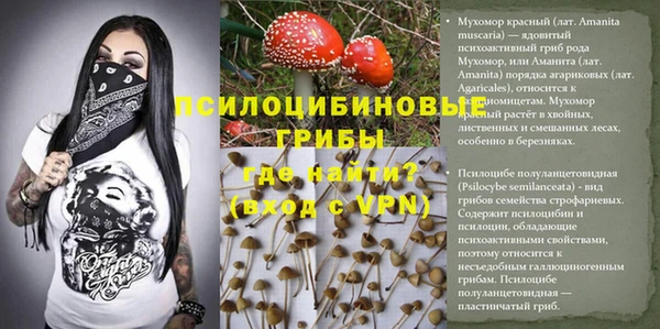 MESCALINE Аркадак