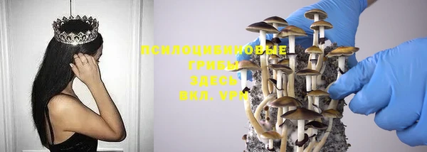 индика Арсеньев