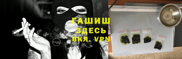 индика Арсеньев