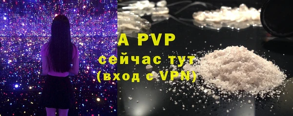 прущие крисы Армянск